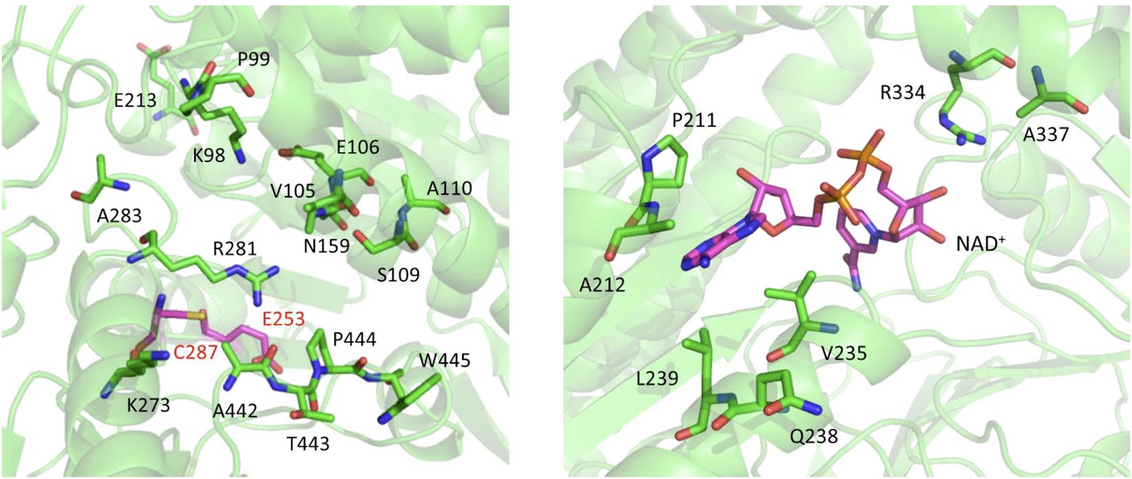 KGSADH_Scientific%20reports_2017