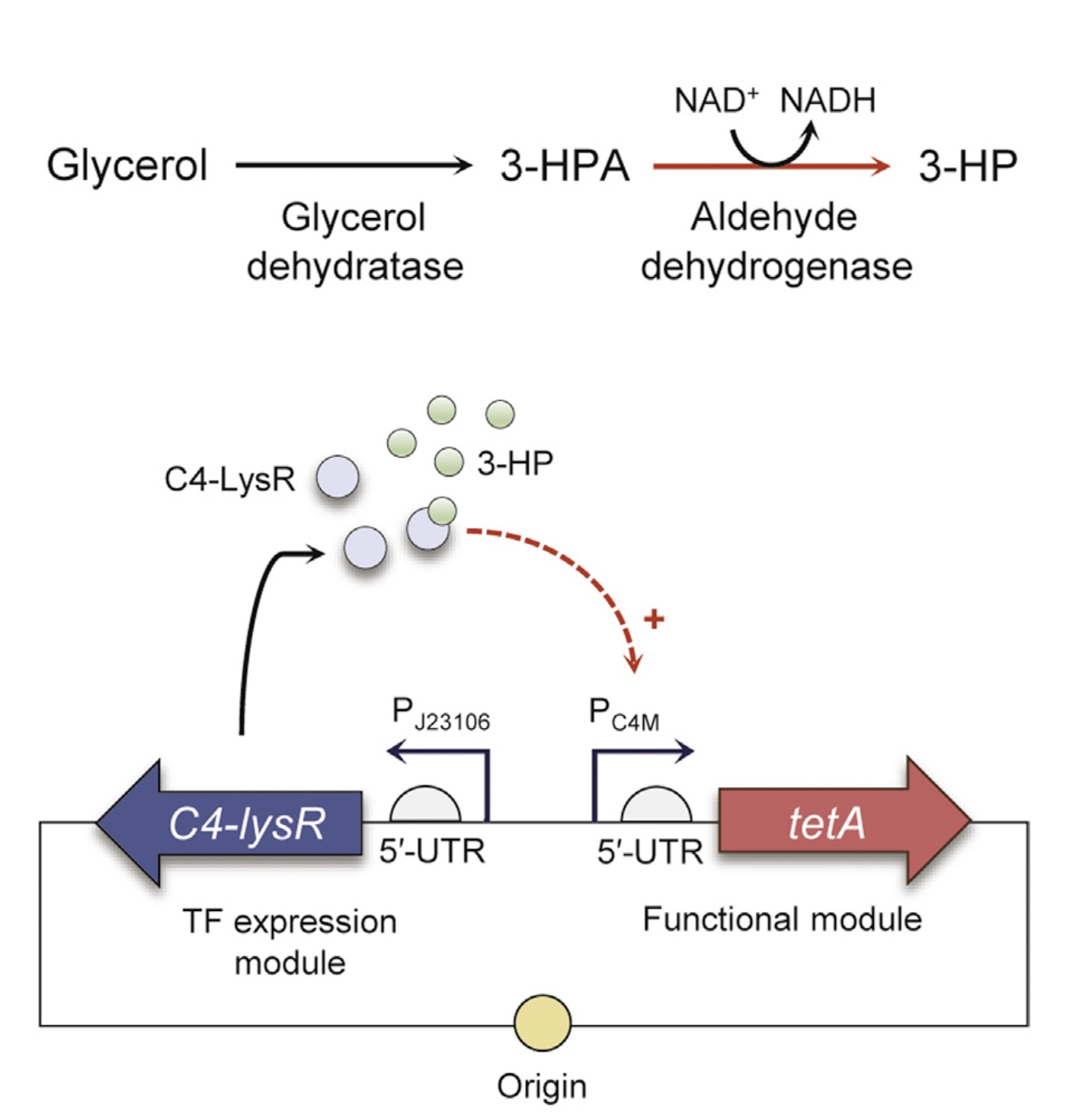 Metabolic%20Engineering_2018