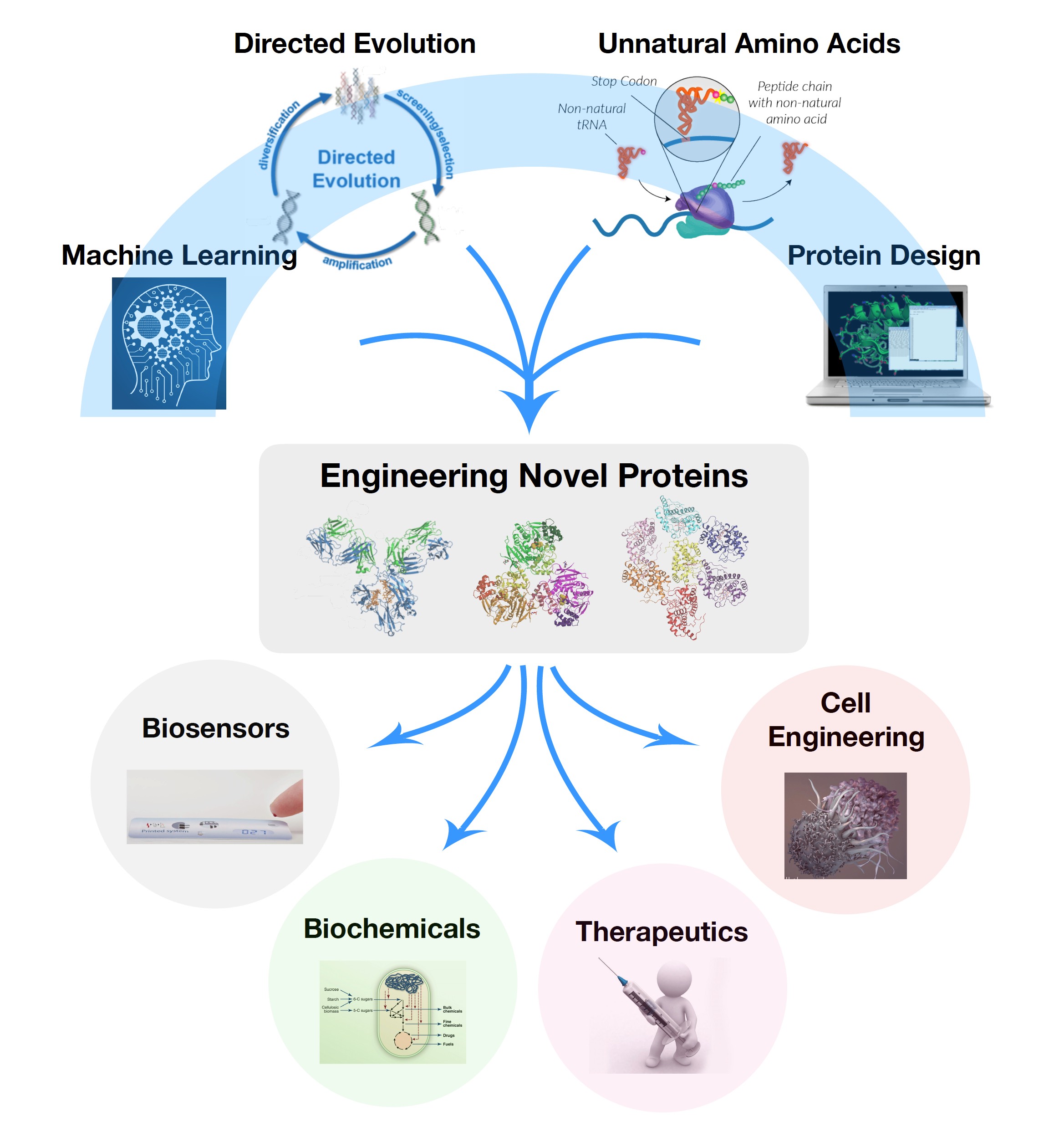 실험실%20소개